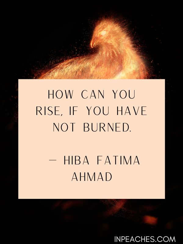 Phoenix quotes and sayings 1