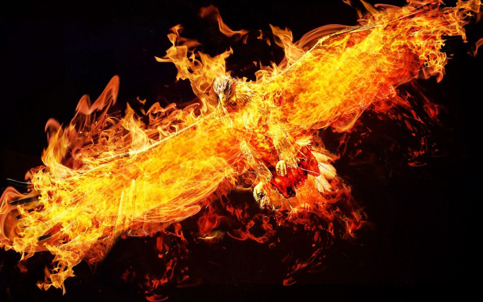 Phoenix quotes and sayings 2